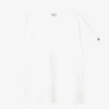 T-shirt Base
