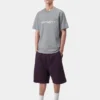 T-shirt Script